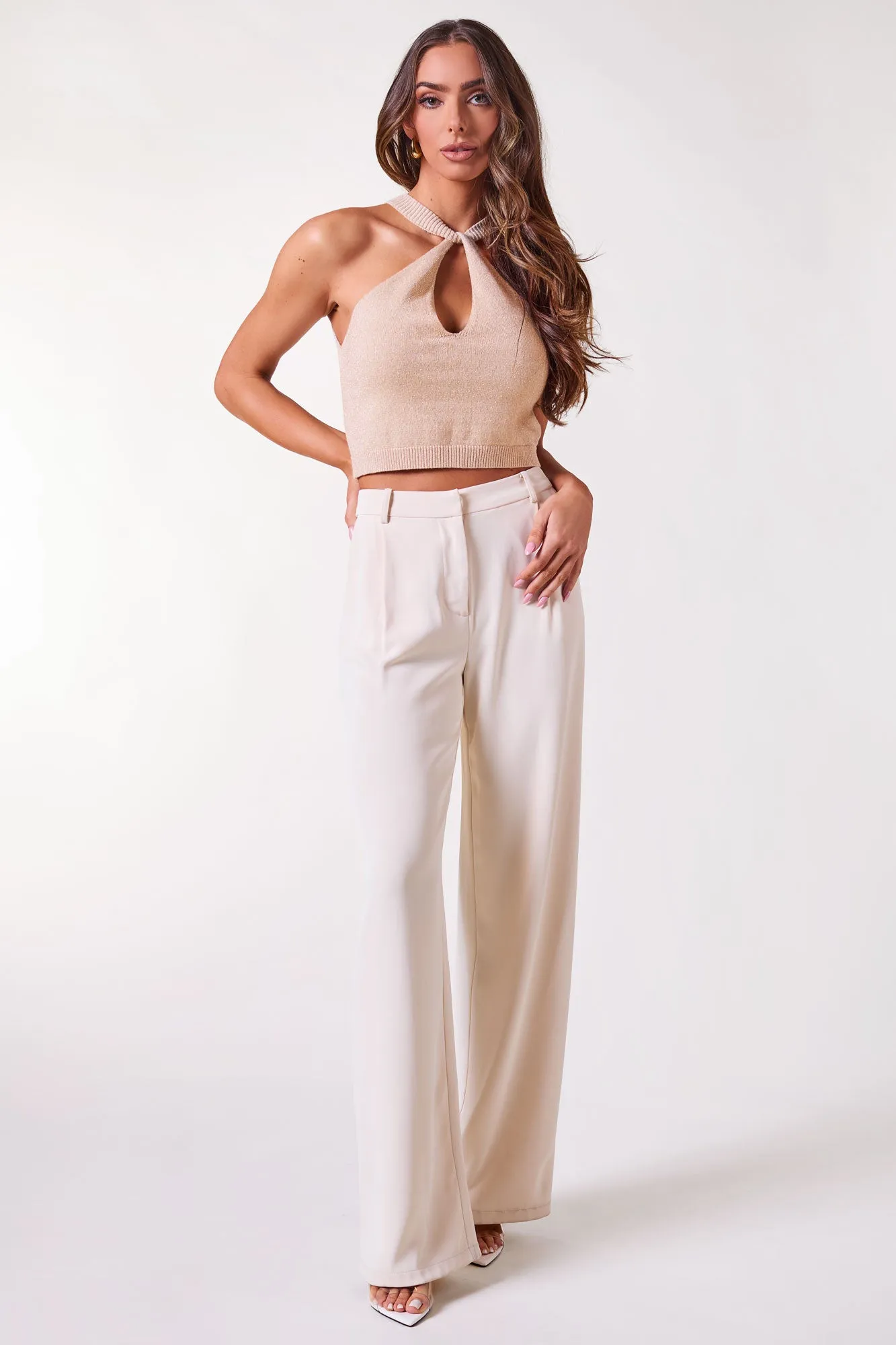 Gloria Beige Crop Top