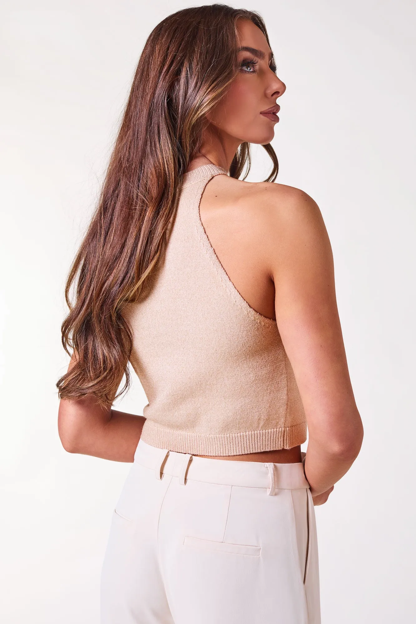 Gloria Beige Crop Top