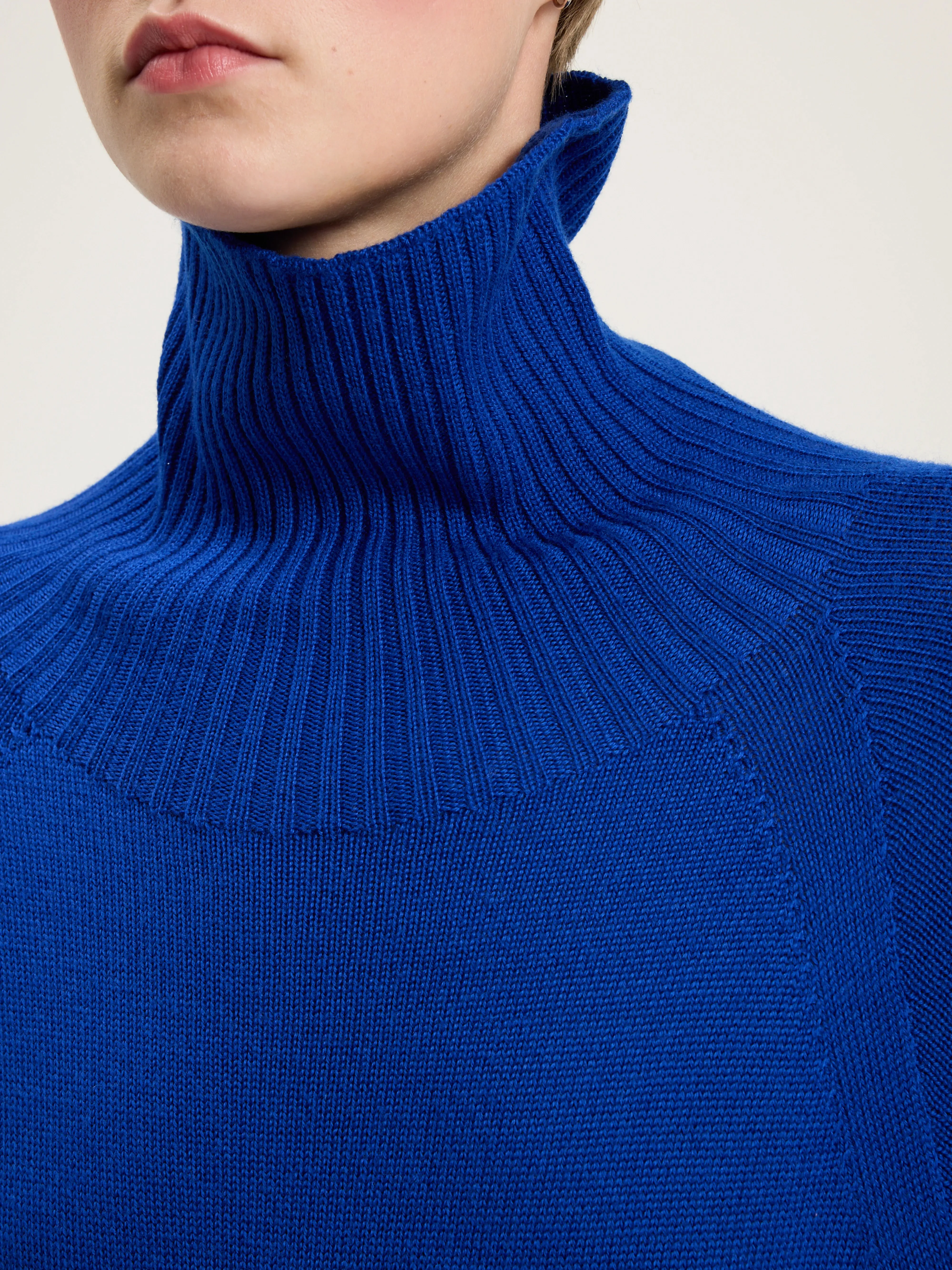 Merino Knit Turtleneck Sweater (242 / W / BLUE)