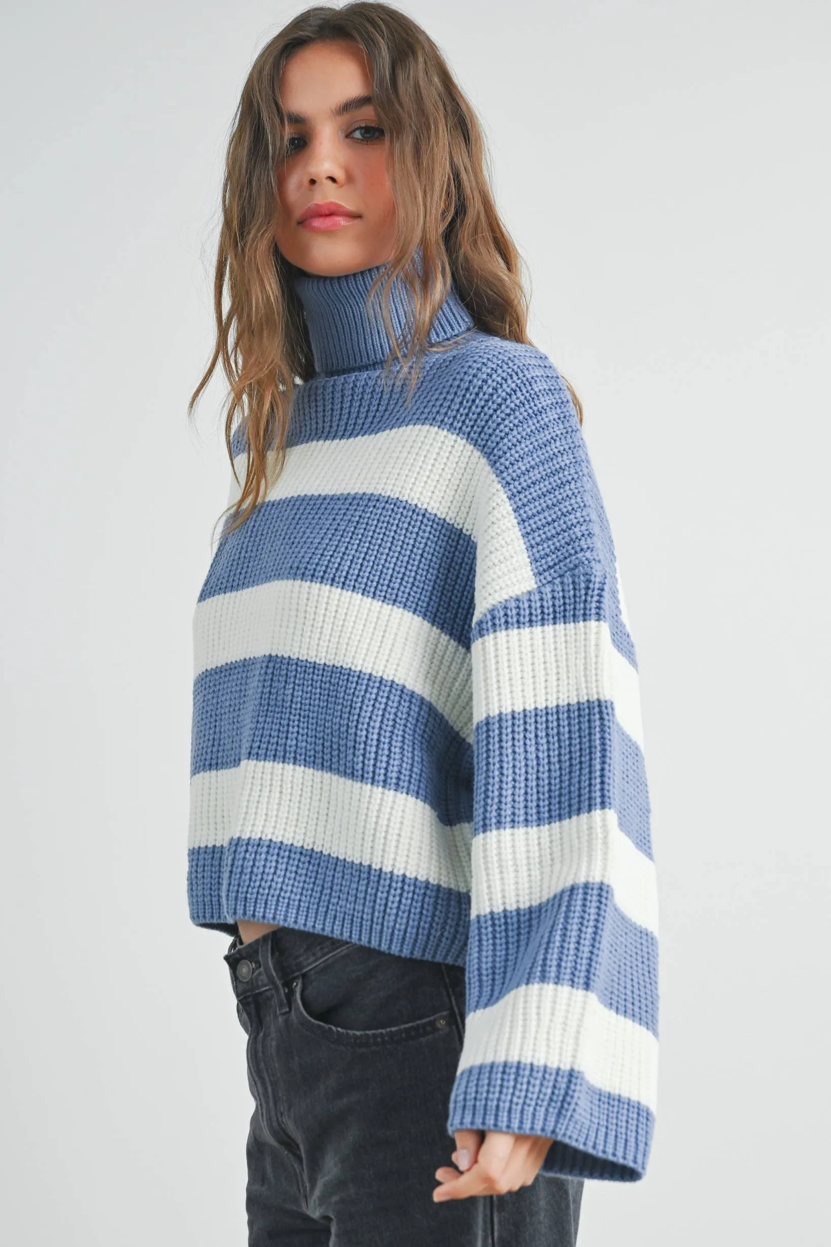 Striped Pullover Turtleneck Sweater